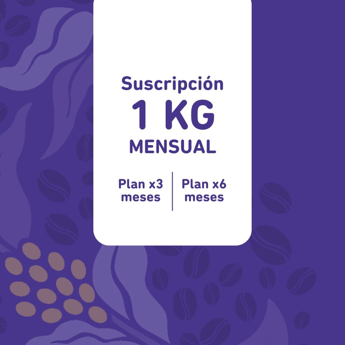 Plan 1Kg (mensual)