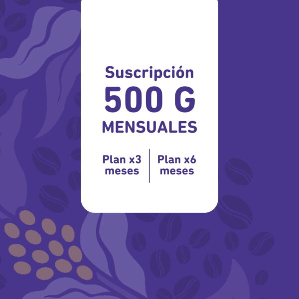 Plan 500g (mensual)